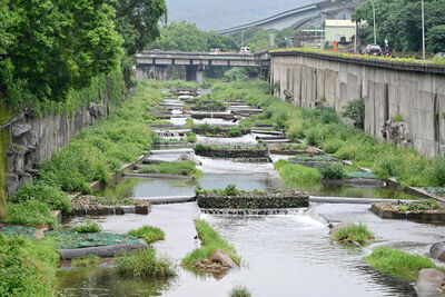 河岸整體綠化，設置曲線格框、丁壩挑流及造淤，創造多樣棲地環境