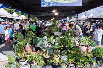 新北市政府近年積極推動「希望市集」品牌，將農業轉型與市民生活、永續發展緊密結合，推出碧潭「小青新咖啡節」、淡水「植愈蒔光節」，打造有地方特色的市集文化。