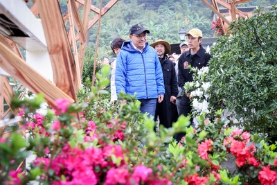 侯友宜參觀2024新北萬金杜鵑花展，感受花藝與庭園造景設計之美。