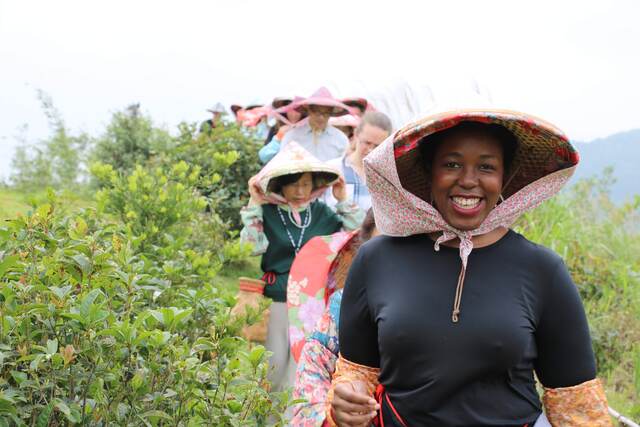 AIT華語學校參訪坪林體驗採茶文化